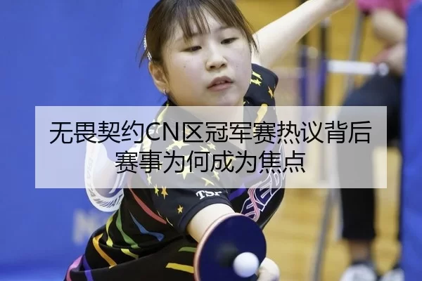 无畏契约CN区冠军赛热议背后 赛事为何成为焦点